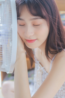 人狗胶配方大全
